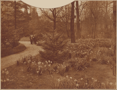 874288 Afbeelding van bloeiende narcissen langs een laantje in het Julianapark te Zuilen, op een mooie lentedag.